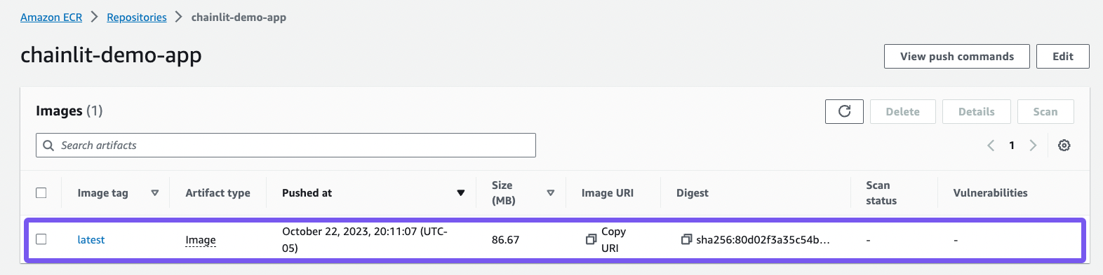 Find pushed image on AWS